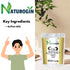 Naturogin Pure Buffalo Ghee 450g